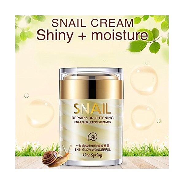 Snail Face Crème anti-escargots - Extrait de sérum pour le visage - Sérum - Sécrétions naturelles - Extrait de mucus - Crème 