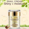 Snail Face Crème anti-escargots - Extrait de sérum pour le visage - Sérum - Sécrétions naturelles - Extrait de mucus - Crème 