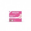 WELEDA Crème De Jour Lissante Rose Musquée & Thé Blanc - 40ml Crème Jour et Nuit