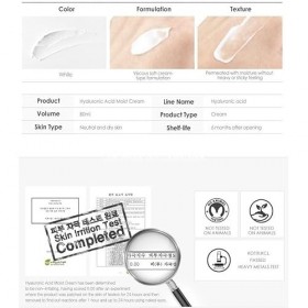 Isntree Hyaluronic Acid Moist Cream 100ml