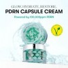 VT COSMETICS PDRN Capsule Cream 100 – Crème Visage Hydratante Coréenne aux Peptides et Acide Hyaluronique, Soin Nourrissant 