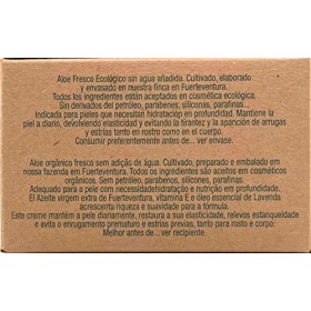 Vidaloe Crème hydratante à laloe vera et à lhuile dolive 100 ml