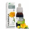 SORIANATURAL EXT. CALENDULA XXI 50ml. s/al – s’intègre facilement dans une routine de tous les jours, produit multifonction à...