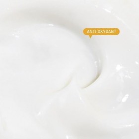 SAEVE Crème Hydratante Visage, Anti-Pollution, Anti-Oxydant, Répare la Peau, pour Tous Types de Peaux Detox Officinale-A Crè...