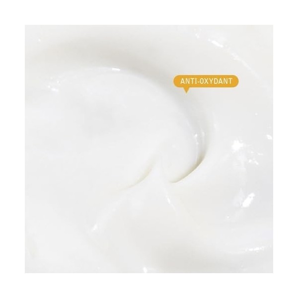 SAEVE Crème Hydratante Visage, Anti-Pollution, Anti-Oxydant, Répare la Peau, pour Tous Types de Peaux Detox Officinale-A Crè...