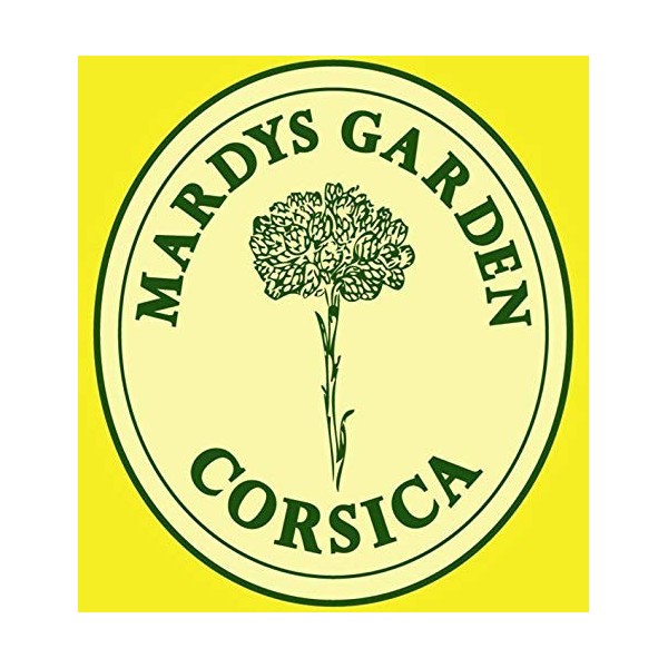 SUPER SERUM IMMORTELLE ANTI-RIDES 15ml Riche en huile essentielle BIO