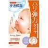 Barrier Repair Facial Mask -5pcs - Collagen