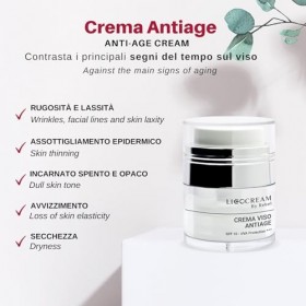 Licocream by Rebel – Crème visage anti-âge | Action hydratante, anti-rides et antioxydante | Effet comblant et repulpant | À 