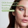 TOSOWOONG Crème Exosome CICA pour le visage – Crème hydratante quotidienne à la texture légère, formulée avec CICA et exosome