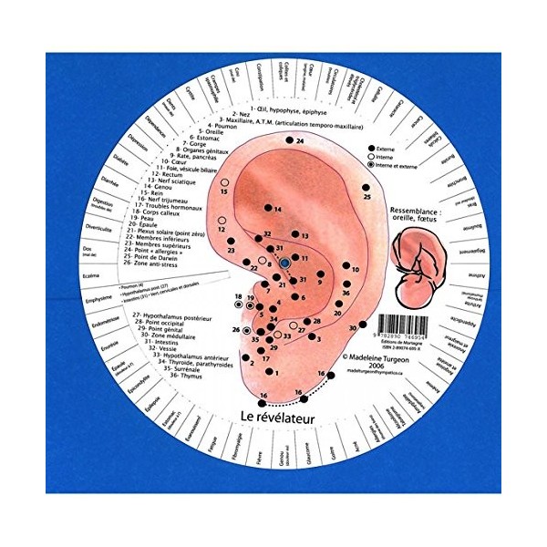 Le révélateur: Ressemblance oreille, foetus Crème Jour et Nuit