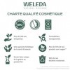 WELEDA - TROUSSE VISAGE ROSE - Crème de jour - Contour des yeux - NATRUE - Crème : 40 ml