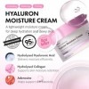 Hanskin - Real Complexion Hyaluron Moisture Cream - 50ml