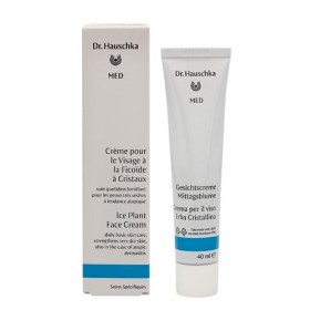 Dr. Hauschka - Ice Plant Face Cream 40 ml