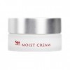 Spa Treatment Absowater Moist Cream S 30 g