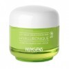 HUYGENS Crème Jour Concentrée Hyaluronique, Soin Anti-rides Bio, Hydratant et Nourrissant, Pour Peaux Sèches à Très Sèches, A
