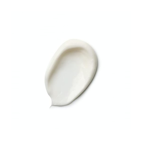 HUYGENS Crème Jour Concentrée Hyaluronique, Soin Anti-rides Bio, Hydratant et Nourrissant, Pour Peaux Sèches à Très Sèches, A