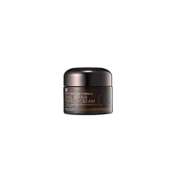 MIZON Crème Réparatrice Anti-âge Escargot Extract Snail Repair Perfect Cream 50ml