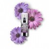 Postquam - Global DNA | Serum Concentré Remodelant pour le Visage - 30 ml