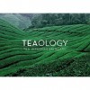 Tealogy Ginger Tea Energizing Aqua-cream 50 Ml Mujer