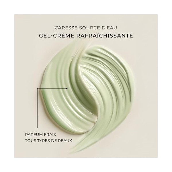 Qiriness Crème Hydratante Caresse Source dEau Riche 50ml