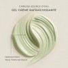Qiriness Crème Hydratante Caresse Source dEau Riche 50ml
