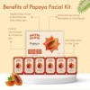 Nutriglow Naturals Advanced Pro Formula Papaya Facial Kit for Even Skin Tone, Excess Pigmentation & Helps Reduce Scars, 10Gm