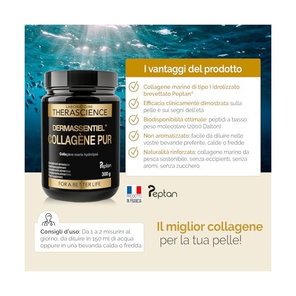 DERMASSENTIEL COLLAGENE PUR | Repulpe & Raffermit | Cure 50 jours | Collagène marin hydrolysé breveté Peptan®| Peptides de co