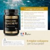 DERMASSENTIEL COLLAGENE PUR | Repulpe & Raffermit | Cure 50 jours | Collagène marin hydrolysé breveté Peptan®| Peptides de co