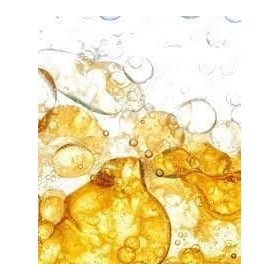 BODYREMEDY Sérum Biphasique Corps Montalto Bio