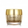 DR.ORACLE ReAGEN Ideal Peptide Cream Gold Anti Aging Skin Care Hydratant - Anti-Rides Raffermissant pour Peau Sèche 1,35 oz ...