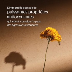 LOCCITANE - Sérum Pro-Fermeté Immortelle Divine - 30 ml - Cible les rides, apporte élasticité, éclat et fermeté - Fabriqué e