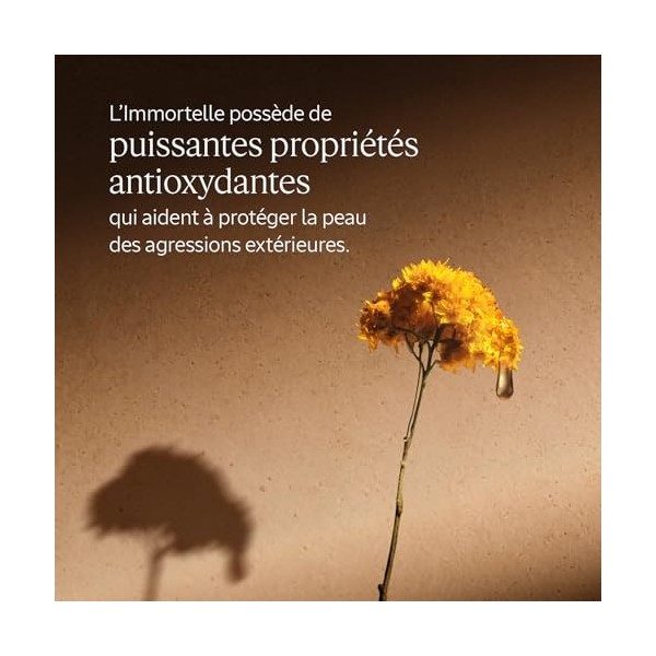 LOCCITANE - Sérum Pro-Fermeté Immortelle Divine - 30 ml - Cible les rides, apporte élasticité, éclat et fermeté - Fabriqué e