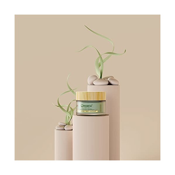 Crème anti-âge à la spiruline