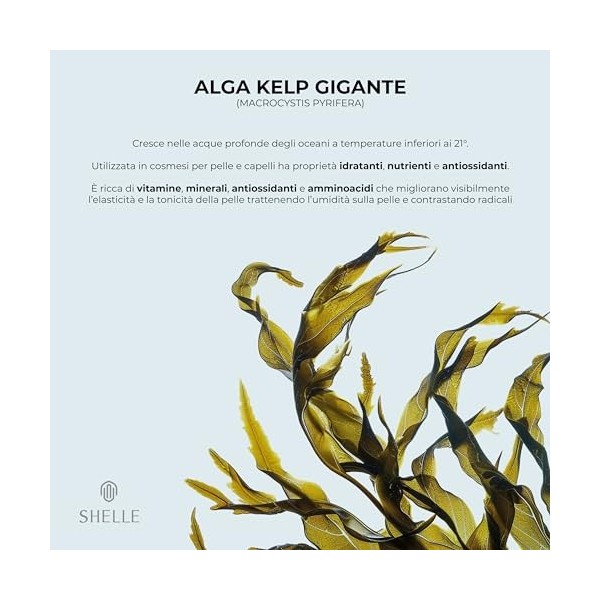 Sérum Facial Jeunity-ShelleCosméceutique, Oxygène-Ozone. Révolutionnaire, Ultra-Puissant, Sublime, Exclusif, Innovant, Intens