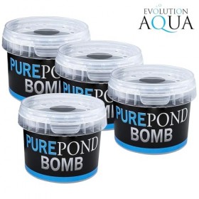 Evolution Aqua étang Pure Bombe x 4 Crème Jour et Nuit