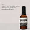 AESOP Parsley Seed Anti-Oxidant Hydrator 60 ml Crème Jour et Nuit