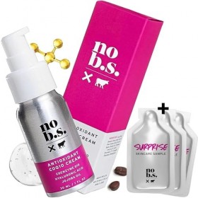 NO B. S. Antioxydant CoQ10 Crème Visage - Fermeté Visage Hydratant avec Coenzyme Q10, lacide hyaluronique et lhuile de jojo