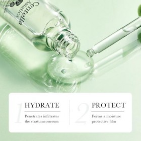 Sérum Réparateur & Crème Hydratante à lExtrait de Centella Asiatica, Apaisement Intense pour Peaux Sensibles, Renforce la Ba