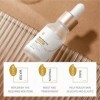 Sérum Essence De Riz + Crème Visage Au Riz, Hydratation Profonde, Teint Éclatant Et Uniforme, Réduit Les Signes De LÂge, Amé