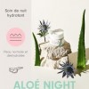 HelloBody Aloe Night creme de nuit hydratante – Creme de nuit visage avec Aloe Vera, acide hyaluronique et huile de noyau de 