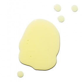 PSA MIDNIGHT COURAGE Rosehip & Bakuchiol Retinoid Night Oil. Facial Oil for Nighttime Skincare Routine with 2% Retinoid Compl