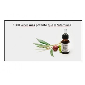Tergum Maximum N, Le Sérum de Nuit avec Une Plus Grande Capacité antioxydant du marché : 1800 Fois supérieure à la Vitamine C