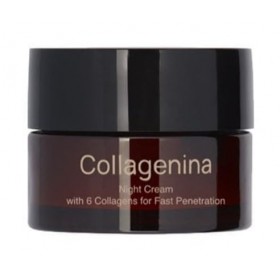 Collagenina Crème de nuit pour le visage Grade 1 avec 6 collagènes pour une pénétration rapide 50 ml