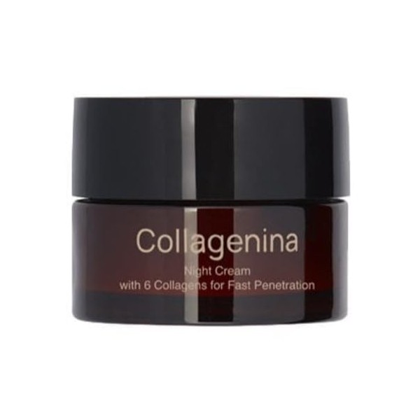 Collagenina Crème de nuit pour le visage Grade 1 avec 6 collagènes pour une pénétration rapide 50 ml