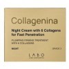 Collagenina Crème de nuit pour le visage Grade 3 avec 6 collagène pour une pénétration rapide 50 ml