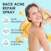 Spray De Traitement De Lacné du Dos,Spray Pour le Dos et Le Corps, Dacné Brume de Soin,Doux pour La Peau,Nettoyage en Profo