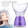 Apstour FS 60 Purple Sauna facial, vaporisateur facial pour les soins cosmétiques du visage, ouvre les pores et hydrate, vape