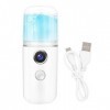 LetCart Pulvérisateur Facial Nano, 30ml USB Vaporisateur Nano Handy Atomisation Mister Face Vaporisateur de brume hydratante 