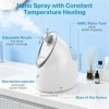 Wolady Vapeur Visage Vaporisateur Sauna Spa Facial Chaude Nano Ionique,Equipé de coton aromathérapie,Réglable Visage Steamer 