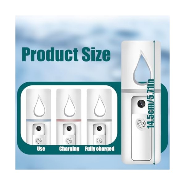 Tomedeks Nano Pulvérisateur Facial Rechargeable, Mini Vaporisateur Portable, Hydratant, Soin de la Peau, Vapeur Visage, Idéal